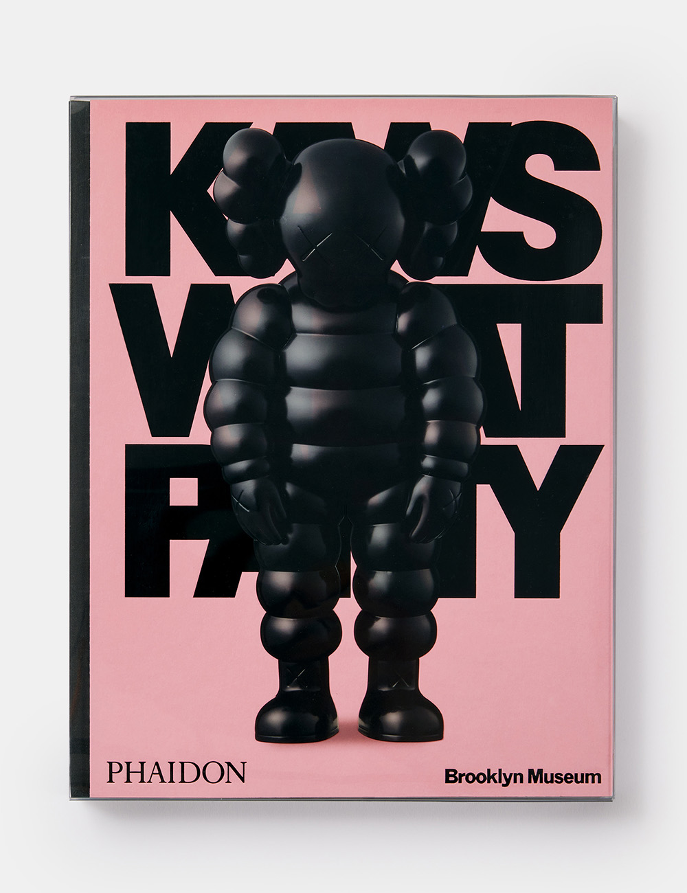 KAWS "What Party"