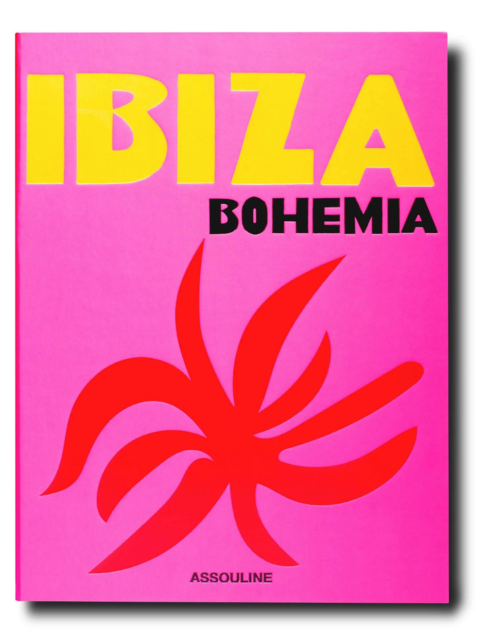 Buch Ibiza Bohemia